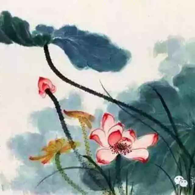 幻颖