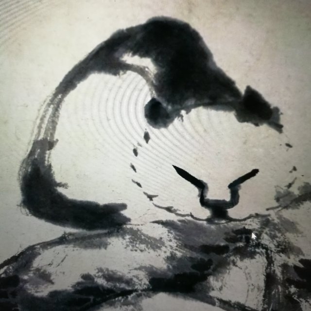 天花板上的鱼