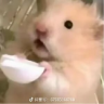 aaa运输逃单