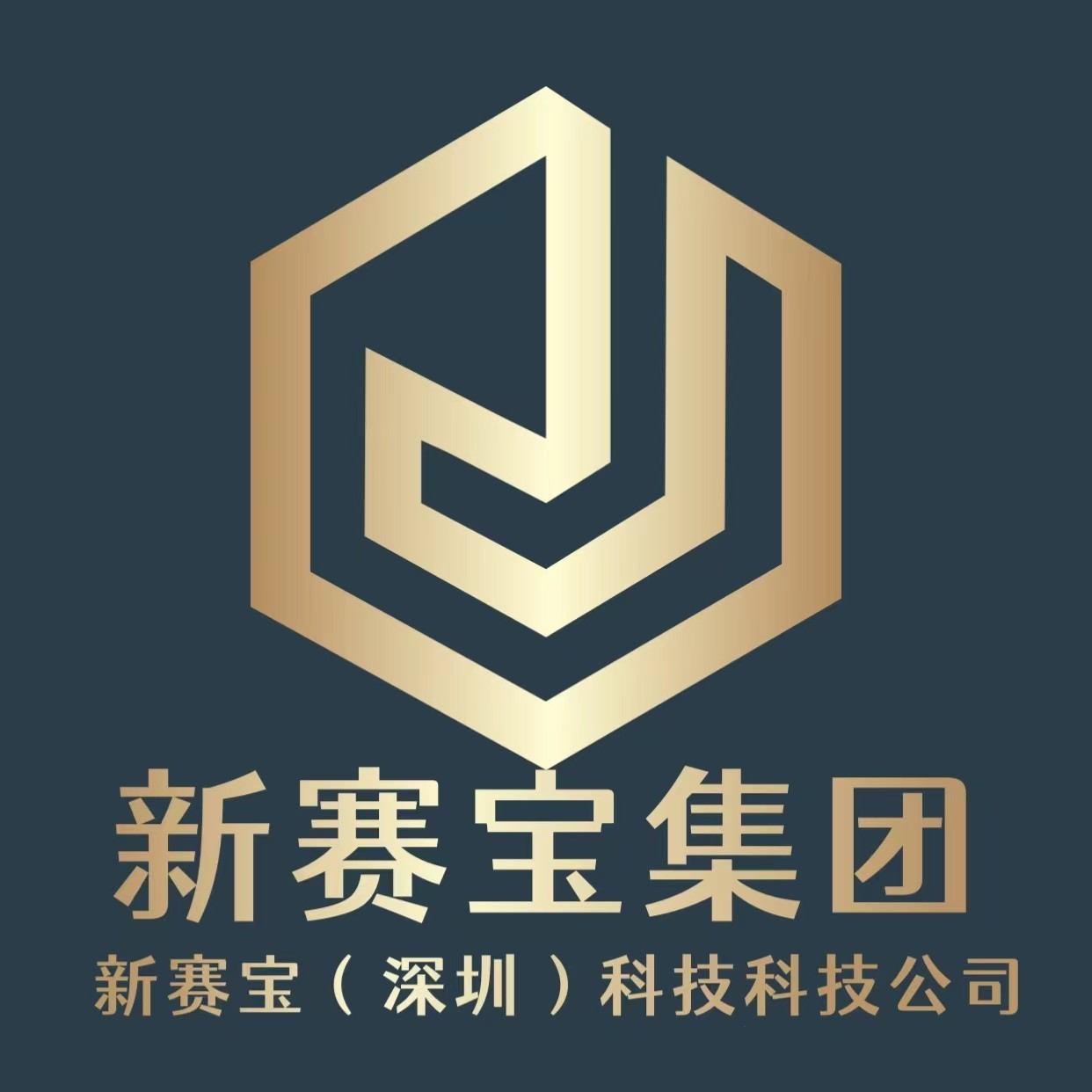 新赛宝集团