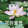 伊一甄选好货仓