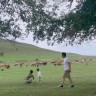 是念妈也是微子