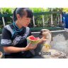 小妹阳和大鹅的农村生活