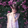 焾ayay