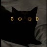 抓到一枚夜猫子