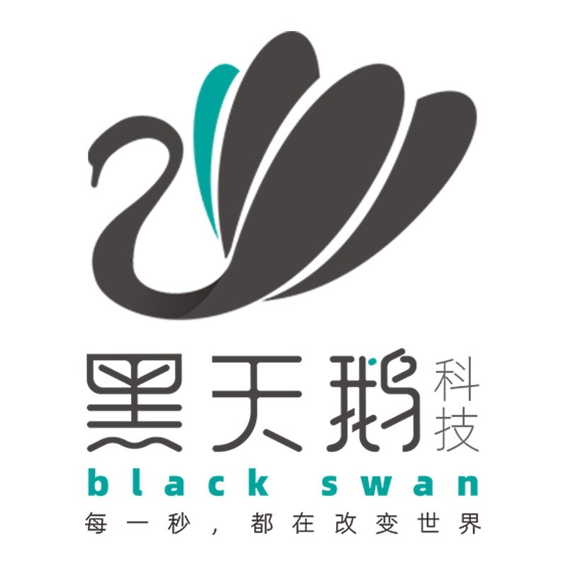 广西黑天鹅科技有限公司