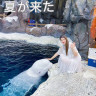 JIEFEIER美丽人生