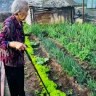 东方做自己