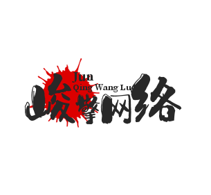 峻擎网络