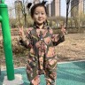 果诺两宝
