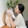 养猫的毛毛老师
