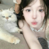 懒猫晒太阳8521