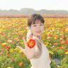 小芸逗逗