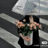 葡萄优选8182