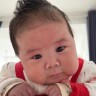 小布丁的成长小日记