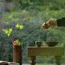 茗阁茶具