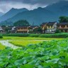 霸气的李百万