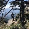 青果鲜农场
