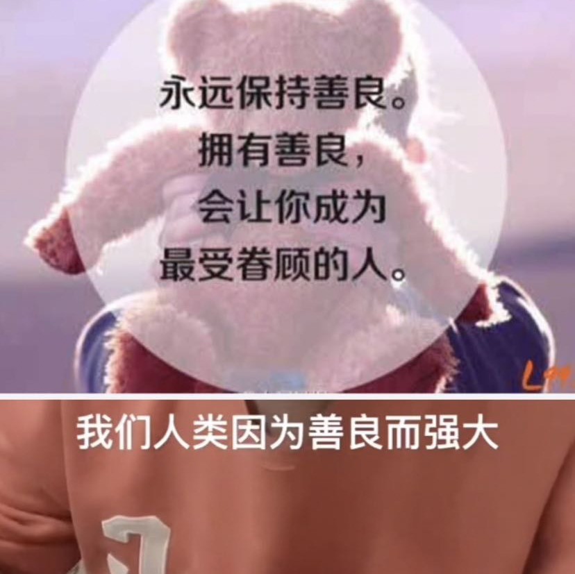 一个小奶猫