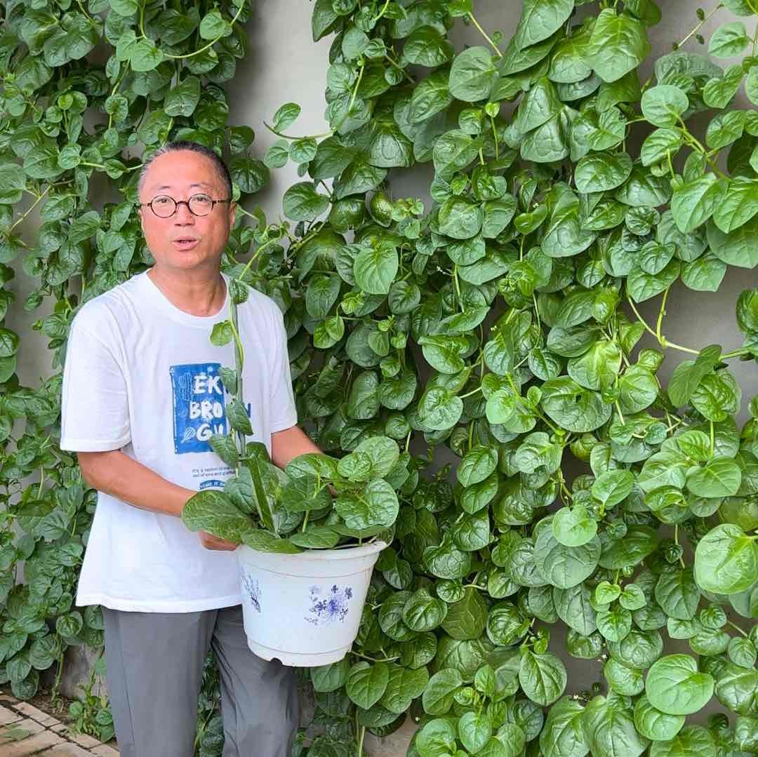 菜农老方