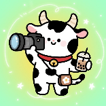 追星哞寄存处