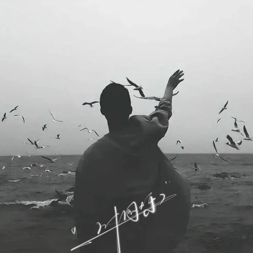 牛姐的智慧人生