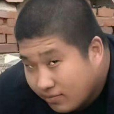 虎哥二次元教父