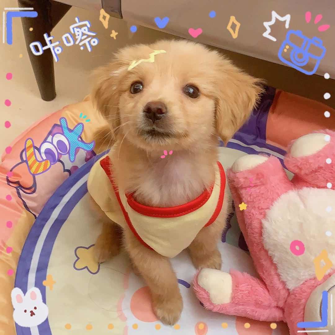 钱多多的小时候