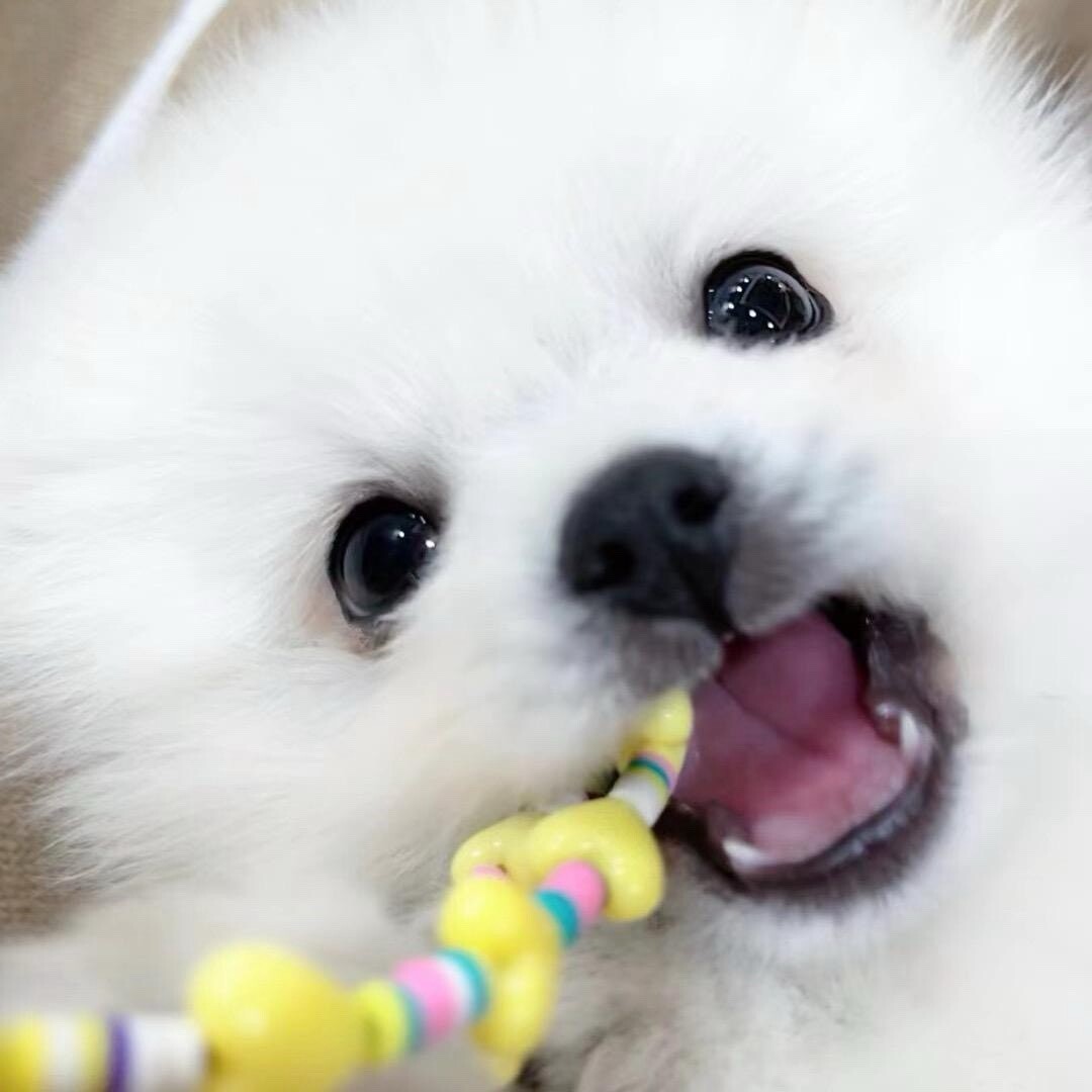 麦薇薇VIVI