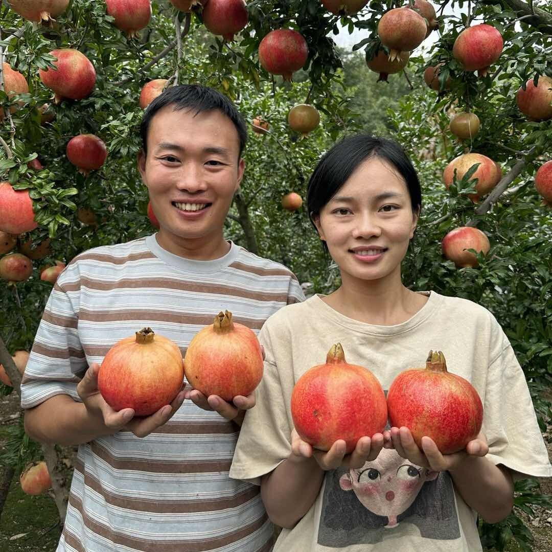 阿昆带你吃水果