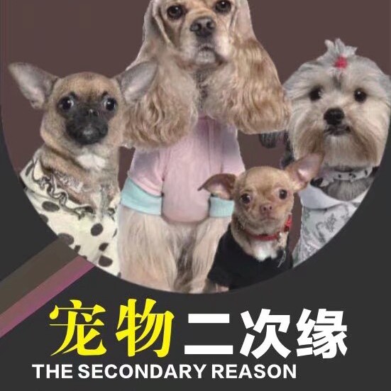 做标本的老王
