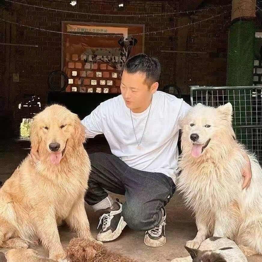 杨哥关爱毛孩子