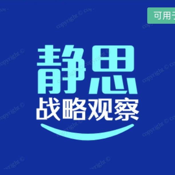 战略观察所