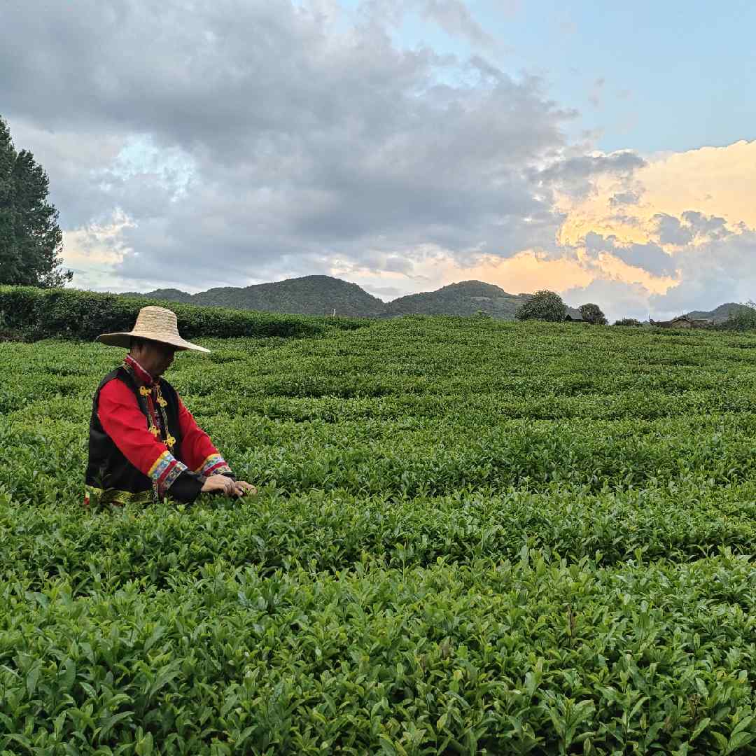 草帽叔记村漂慢生活