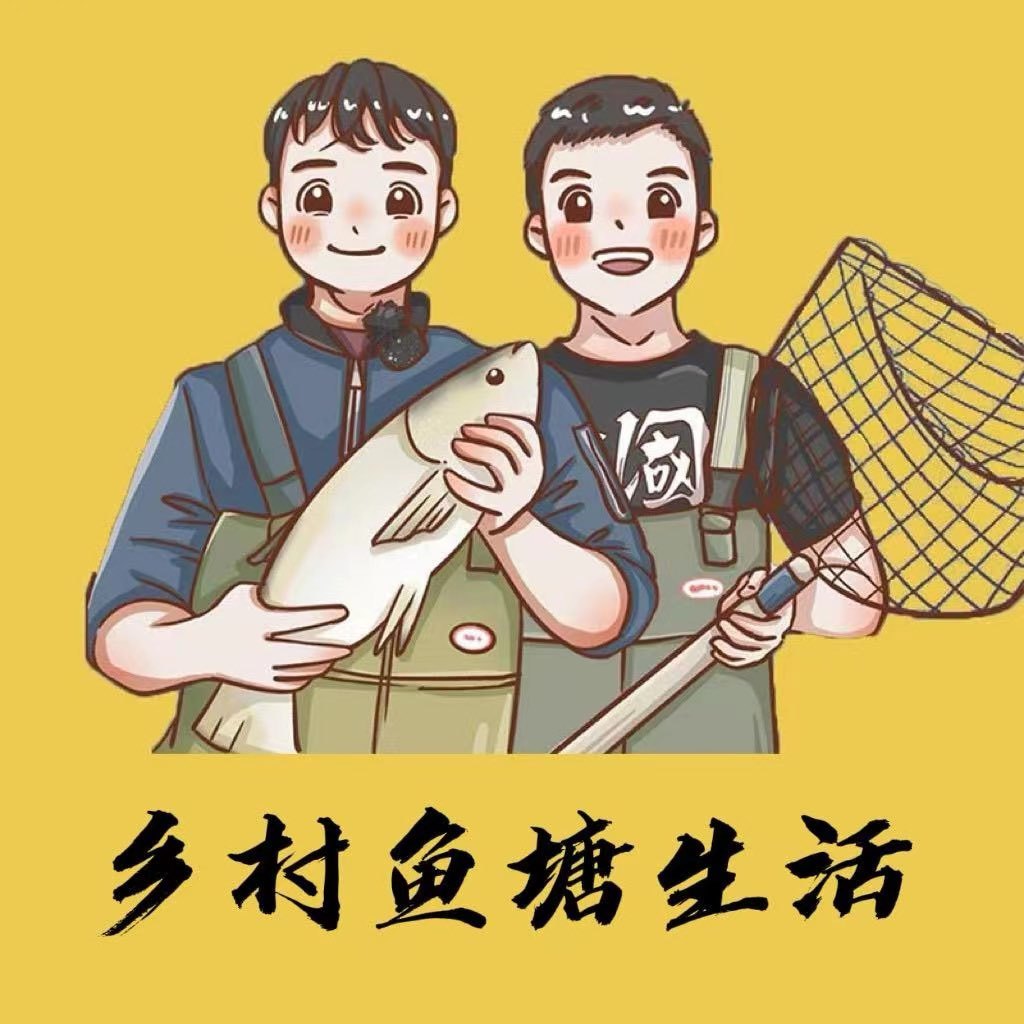 乡村鱼塘生活