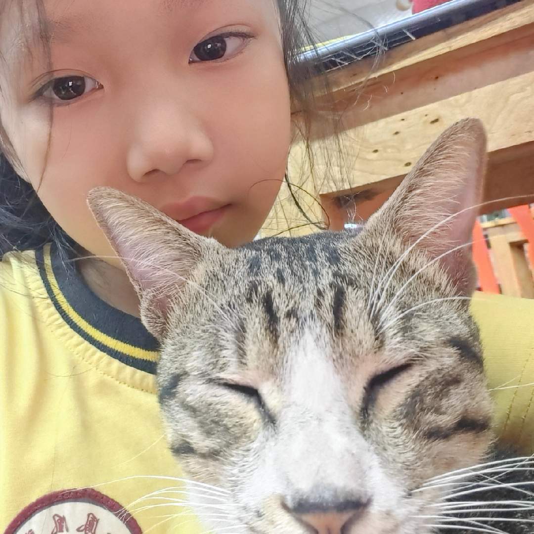 冼三保