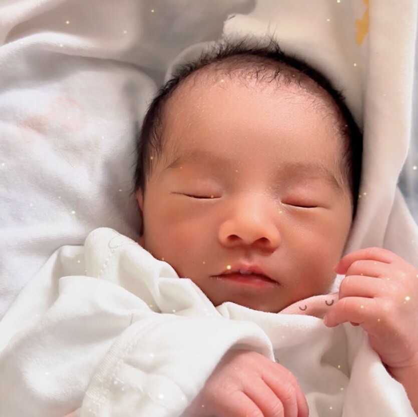 沈么小核桃