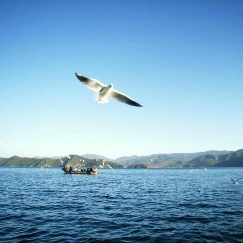 木子姐姐的田园生活