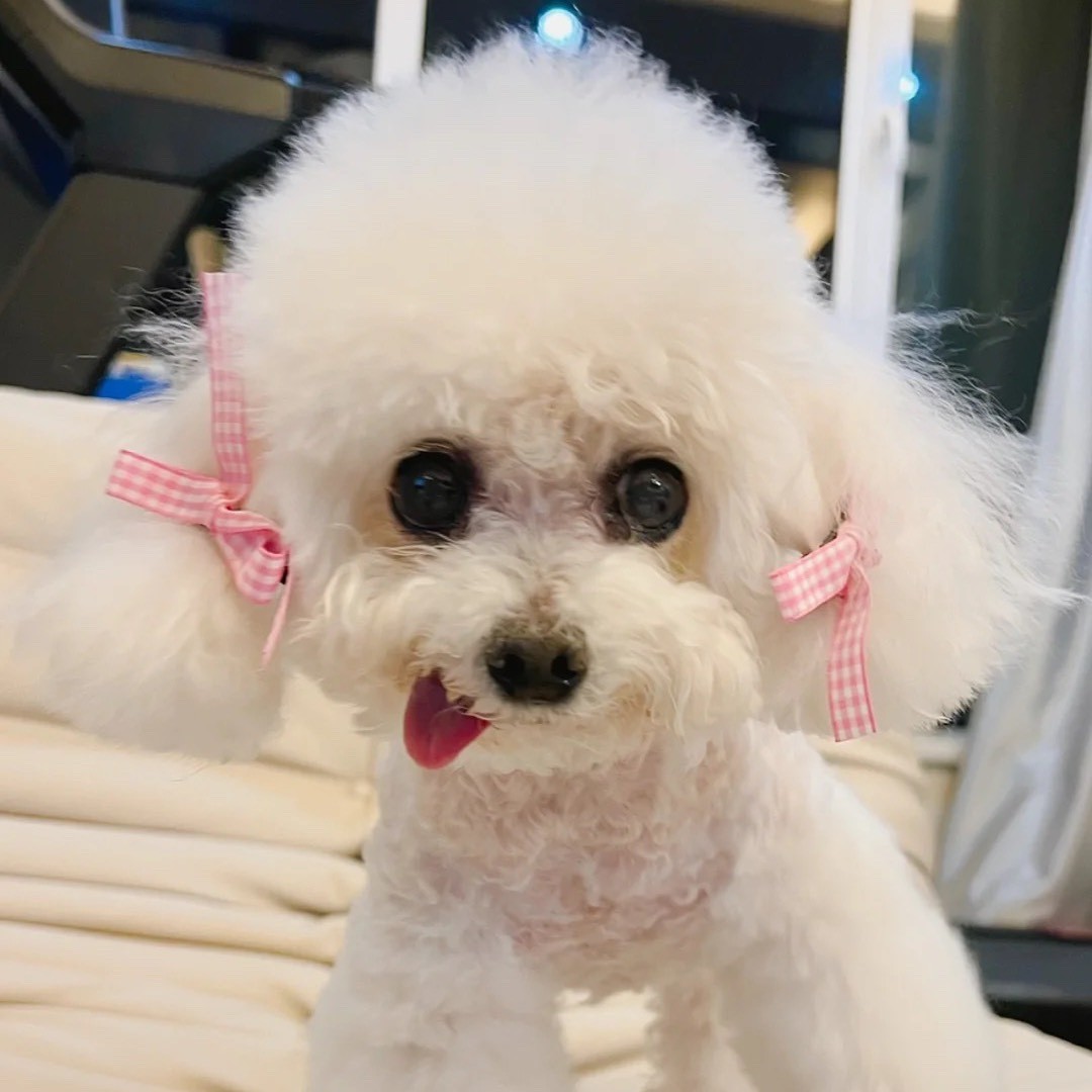 雪儿和小妮的养老生活