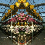 王慧田