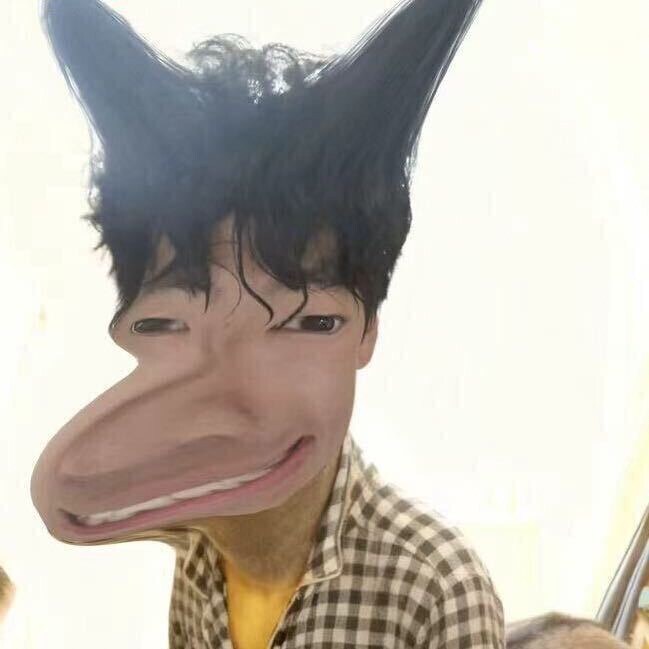 是一只猫猫猫猫