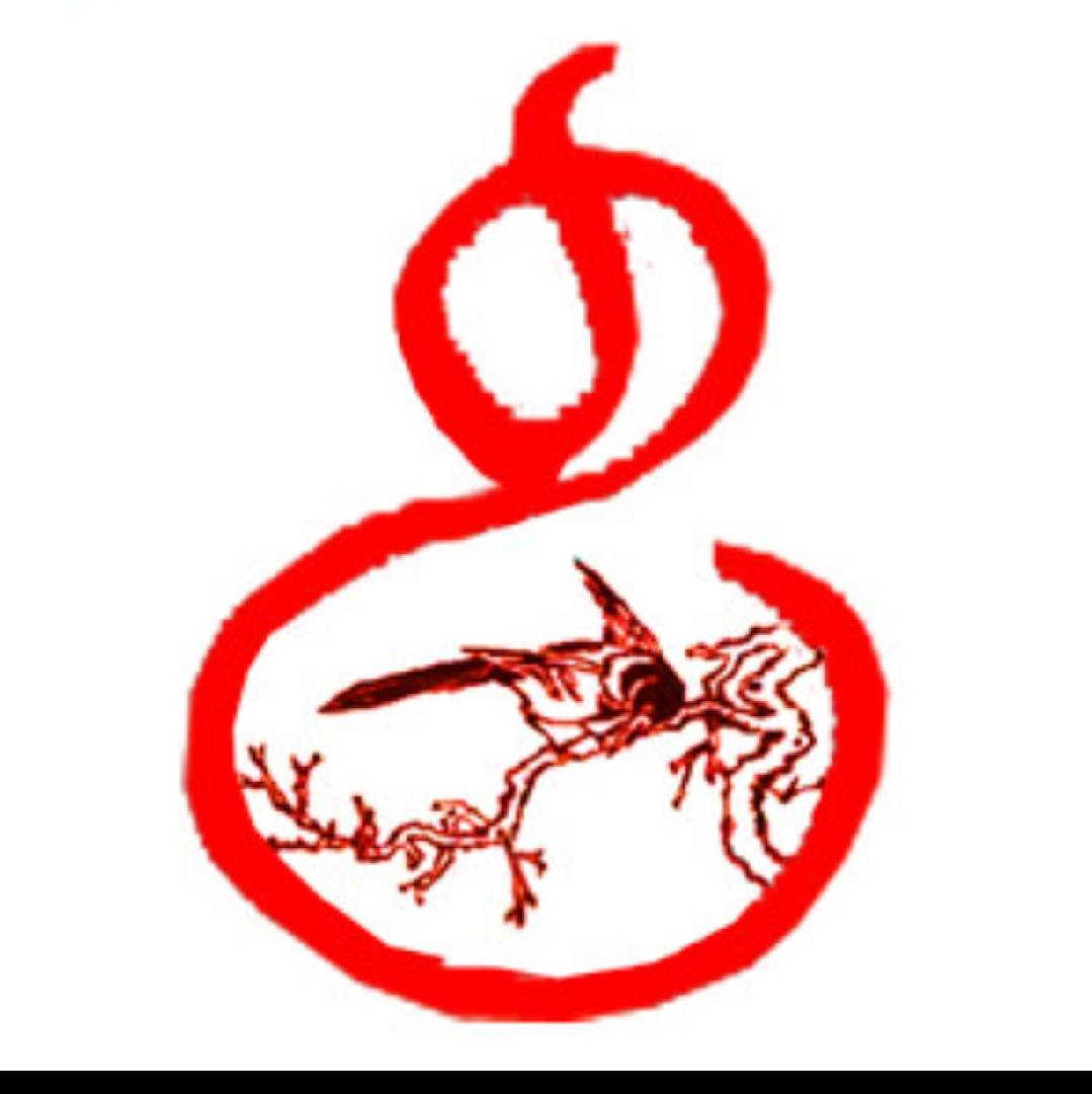 内丘文旅