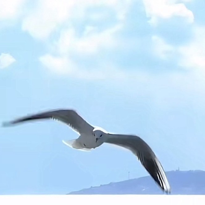 青岛广播