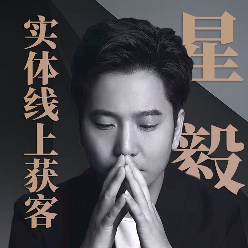 诸葛商业咨询师-星毅科技