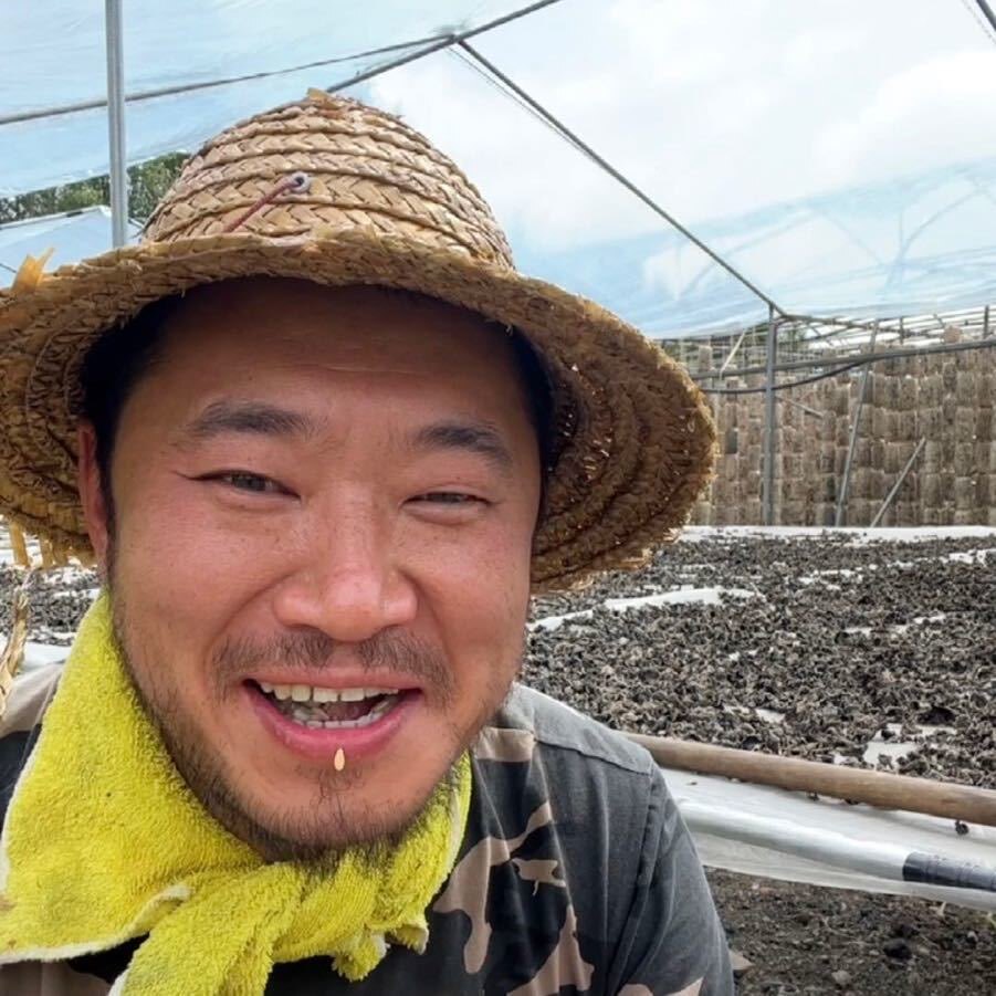 大美和老丑
