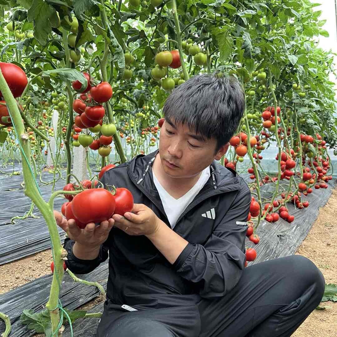 潍坊朗田种业大军