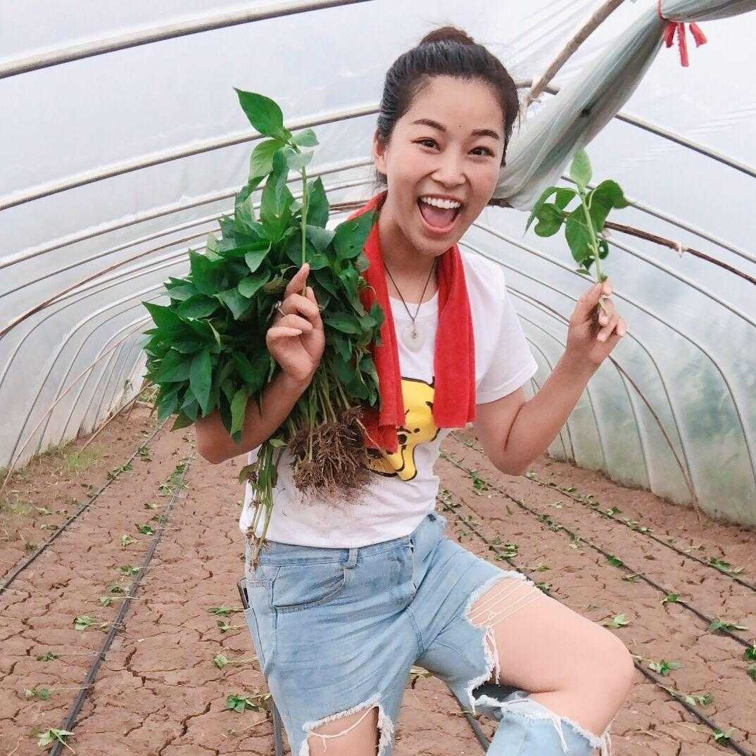 元宝777好物分享