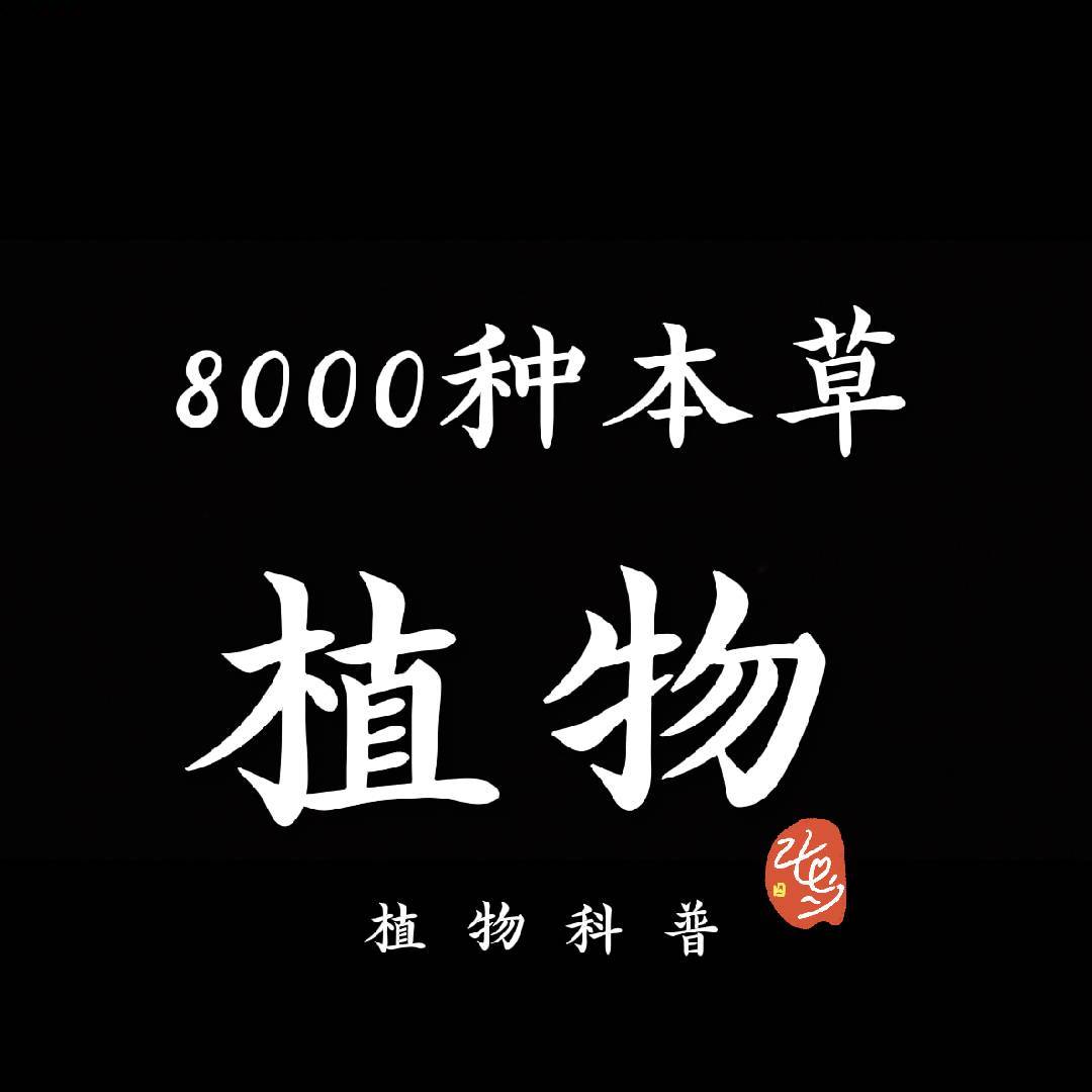 8000种本草植物