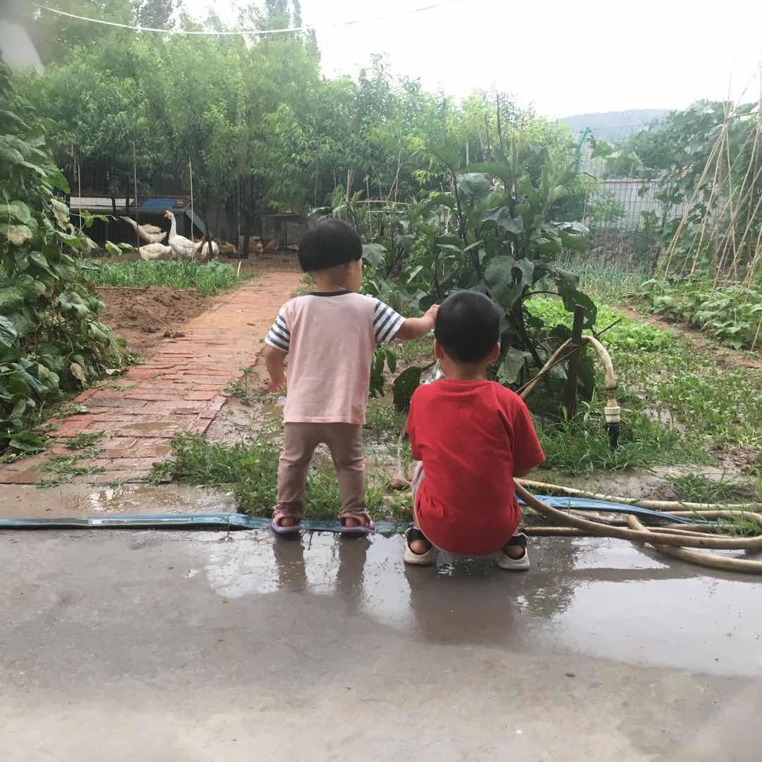 贝贝的小院