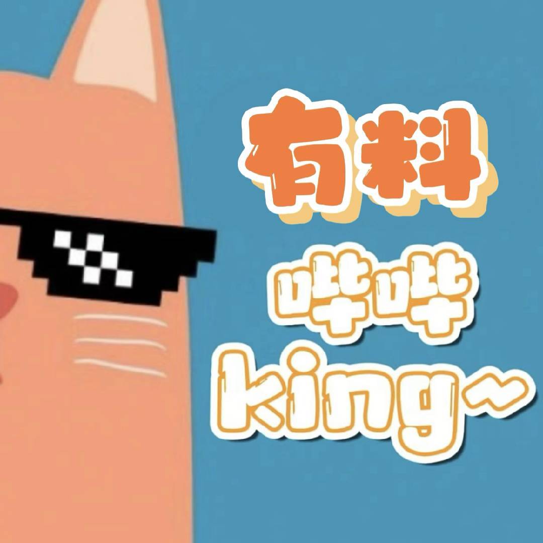 有料哔哔king